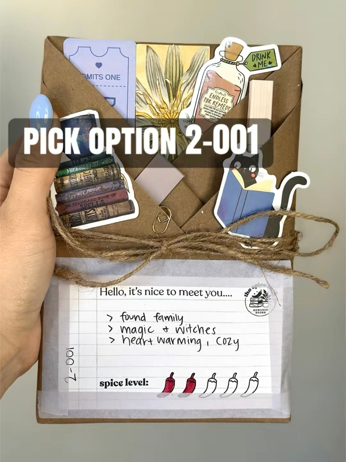 *Lvl 2 Blind Date with a Romance Book - with Clues!