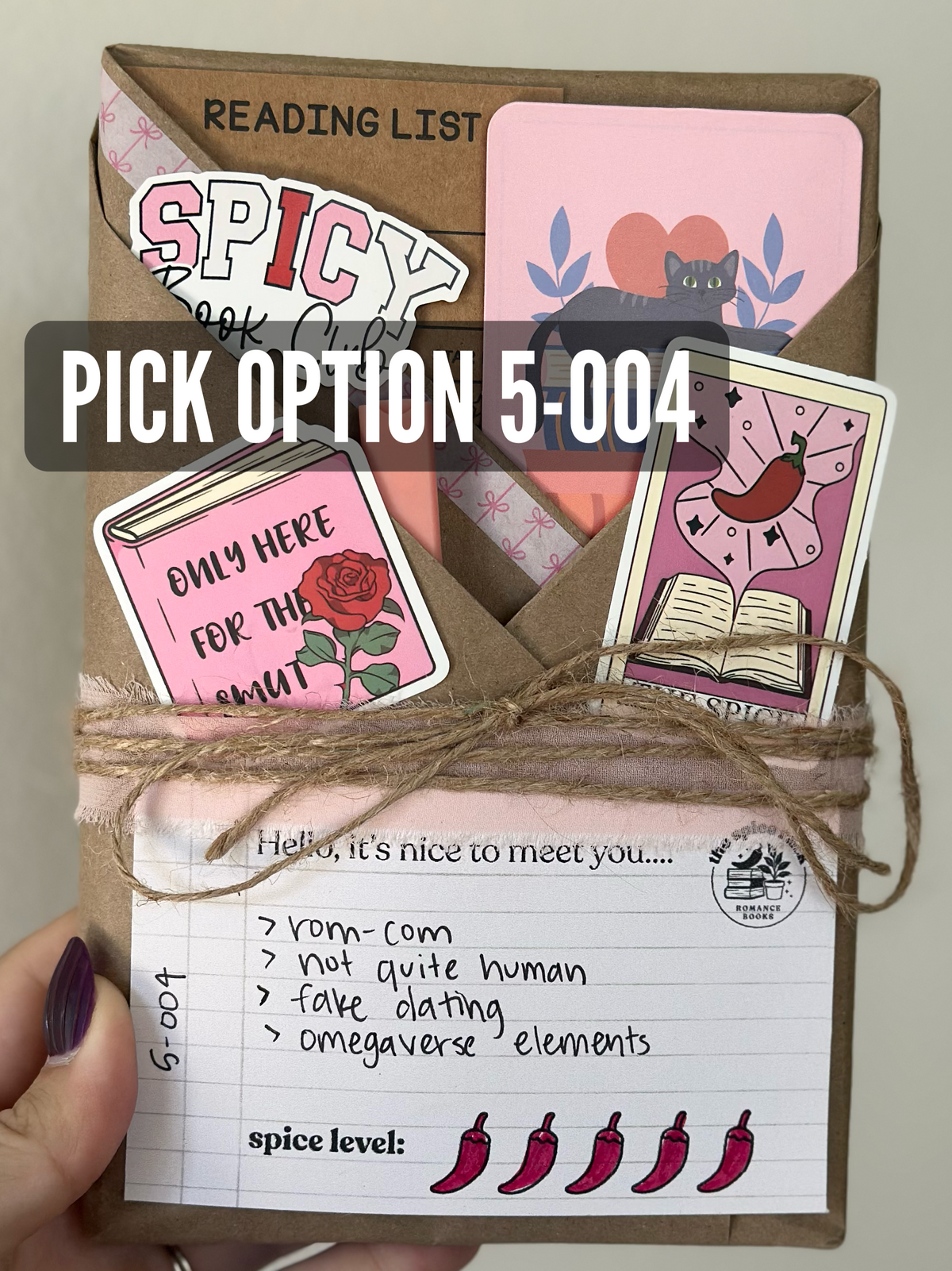 *Lvl 5 Blind Date with a Romance Book - with Clues!
